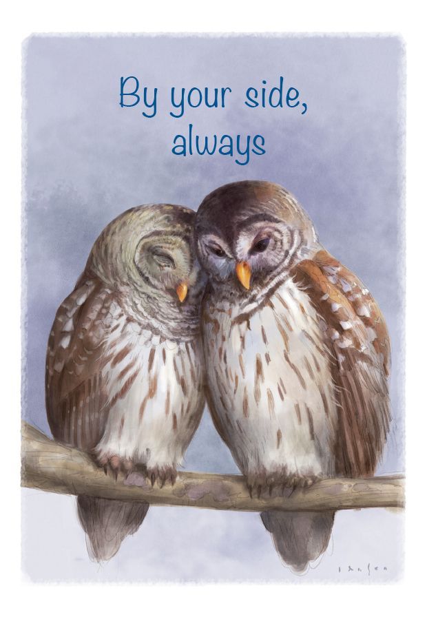 Kunstkort med en illustrasjon av to ugler som klemmer med tekst, "By your side always"